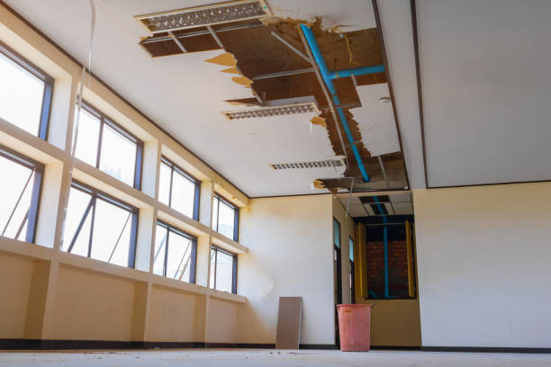 Best Fire Damage Restoration  in Audubon Park, NJ
