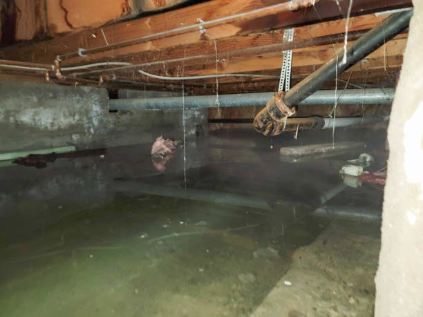 Best Local water damage restoration  in Audubon Park, NJ