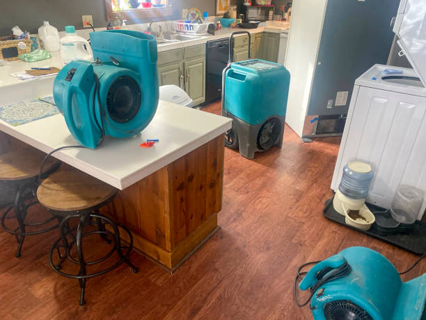 Carpet water damage restoration in Audubon Park, NJ