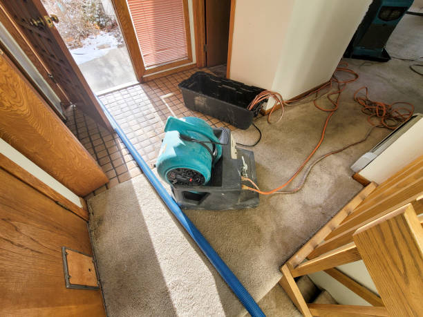 Trusted Audubon Park, NJ Water damage restoration Experts