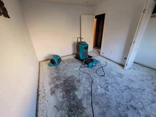 Best 24/7 water damage repair  in Audubon Park, NJ
