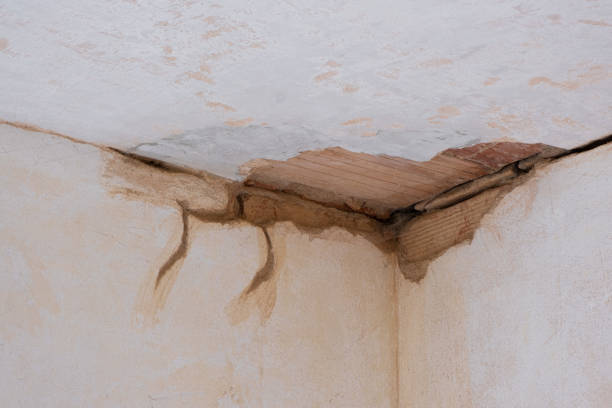 Best Flood damage cleanup  in Audubon Park, NJ