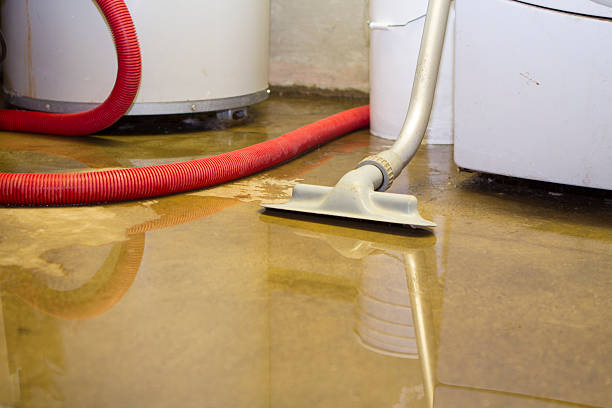Best Emergency water extraction  in Audubon Park, NJ