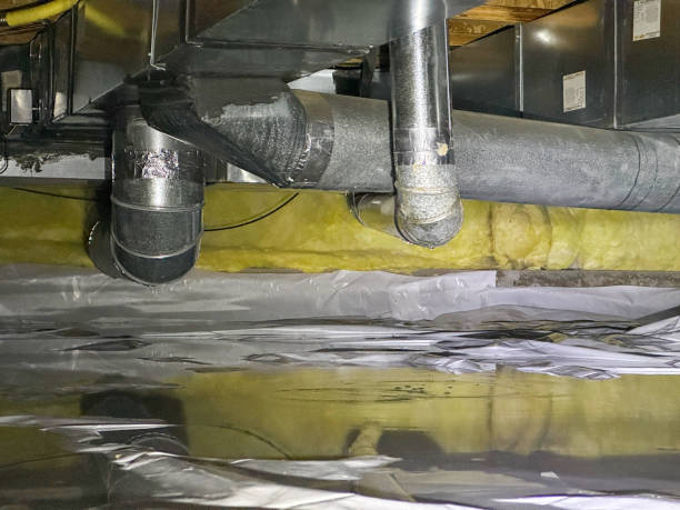 Best Carpet water damage restoration  in Audubon Park, NJ