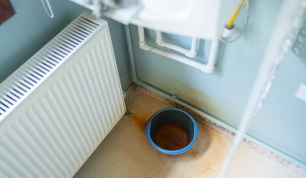 Best Carpet water damage restoration  in Audubon Park, NJ