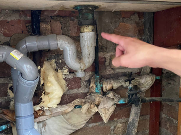 Best Flooded house restoration  in Audubon Park, NJ