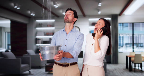Best Water damage restoration services  in Audubon Park, NJ