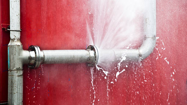  Audubon Park, NJ Water damage restoration Pros